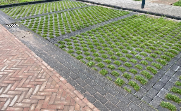 Groene parkeerplaatsen in Bunschoten.